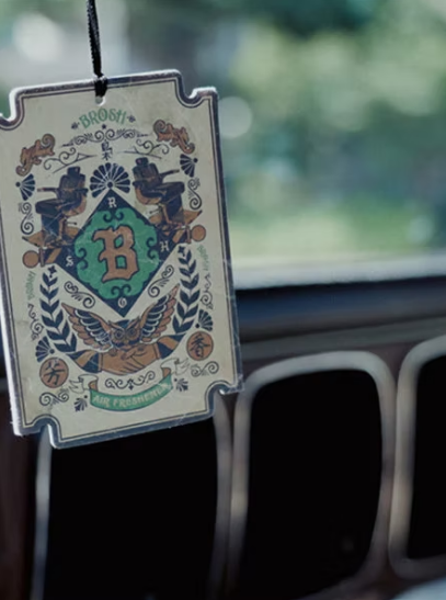 Ароматизатор BROSH AIR FRESHENER FUNKY MINTY BR9011 фото