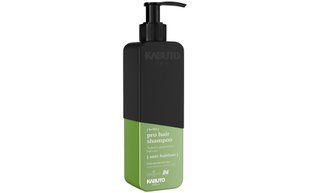 Шампунь Kabuto Professional Hair Shampoo Anti Hairloss 380 ml 8685077950575 фото